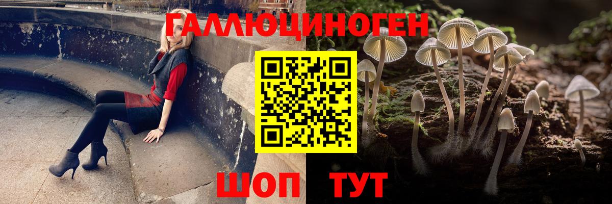 Галлюциногенные грибы MAGIC MUSHROOMS  магазин  наркотиков  Псилоцибиновые грибы ЛСД  Рославль  Вход с VPN 